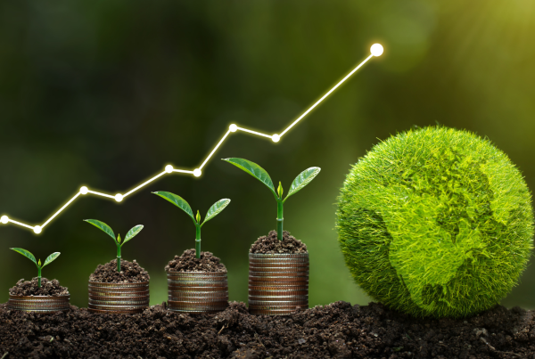 Green plants growing on stacked coins with an upward graph, symbolising India’s rooftop solar growth and clean energy investment.