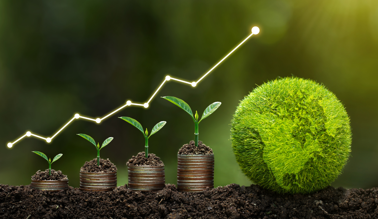 Green plants growing on stacked coins with an upward graph, symbolising India’s rooftop solar growth and clean energy investment.