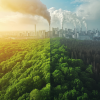 Split image showing lush green forest transitioning into polluted industrial city with smoke emissions