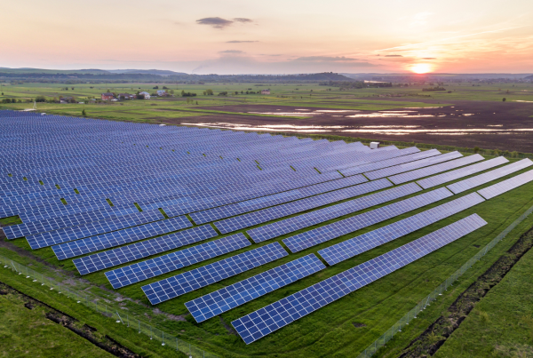 Large solar power plant with rows of photovoltaic panels in rural landscape at sunset