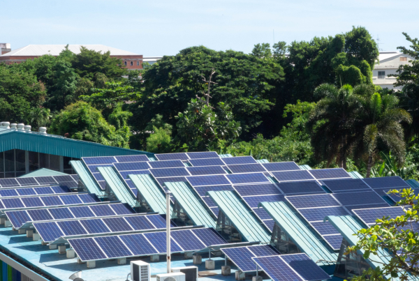 Rooftop solar panels installed on a commercial building surrounded by greenery in India
