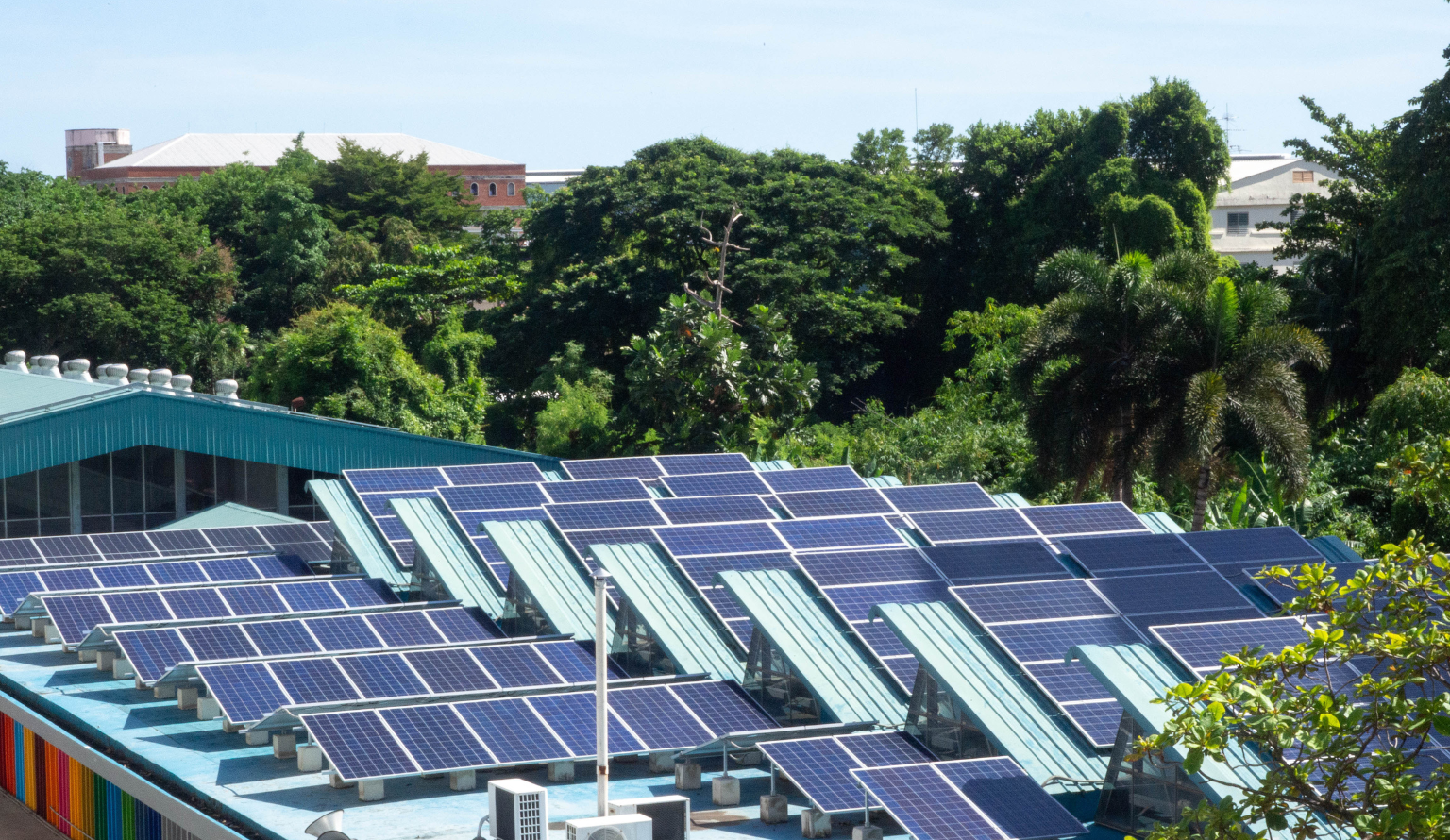 Rooftop solar panels installed on a commercial building surrounded by greenery in India