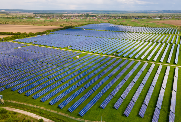 Large-scale solar power plant with rows of photovoltaic panels installed across green farmland in India