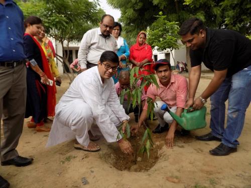 The Brown to Green Campaign - 2018