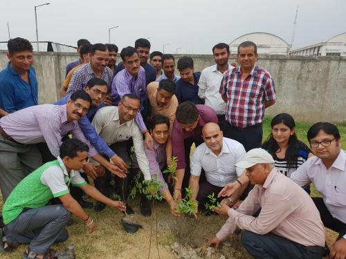 Tree Plantation Activity on World Environment Day - 2018